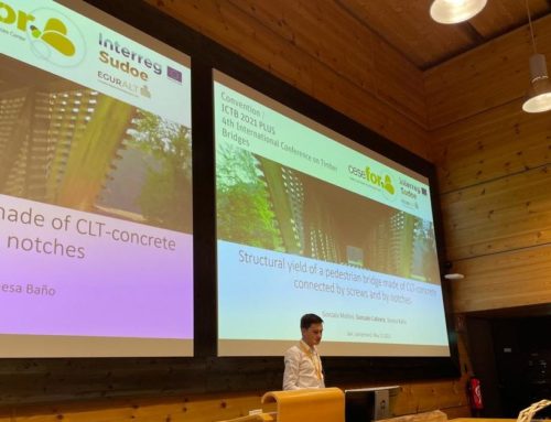 Cesefor presents a paper on CLT-concrete connectors at the International Conference on Timber Bridges in Switzerland