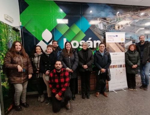 The Cesefor Foundation hosts the Fifth Steering Committee, in Soria (Spain)