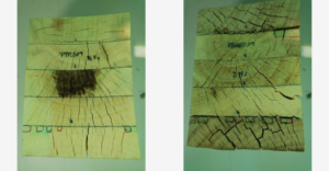 Delamination after 3rd test cycle – Method A from EN 14080: poplar and hybrid poplar with blue glum